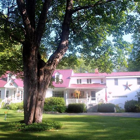 نورث كونويه Buttonwood Inn On Mount Surprise المظهر الخارجي الصورة