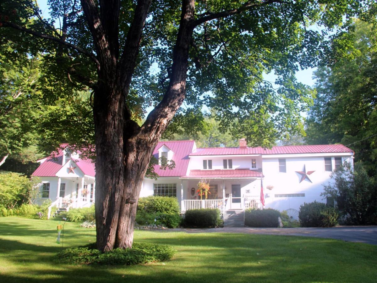 نورث كونويه Buttonwood Inn On Mount Surprise المظهر الخارجي الصورة