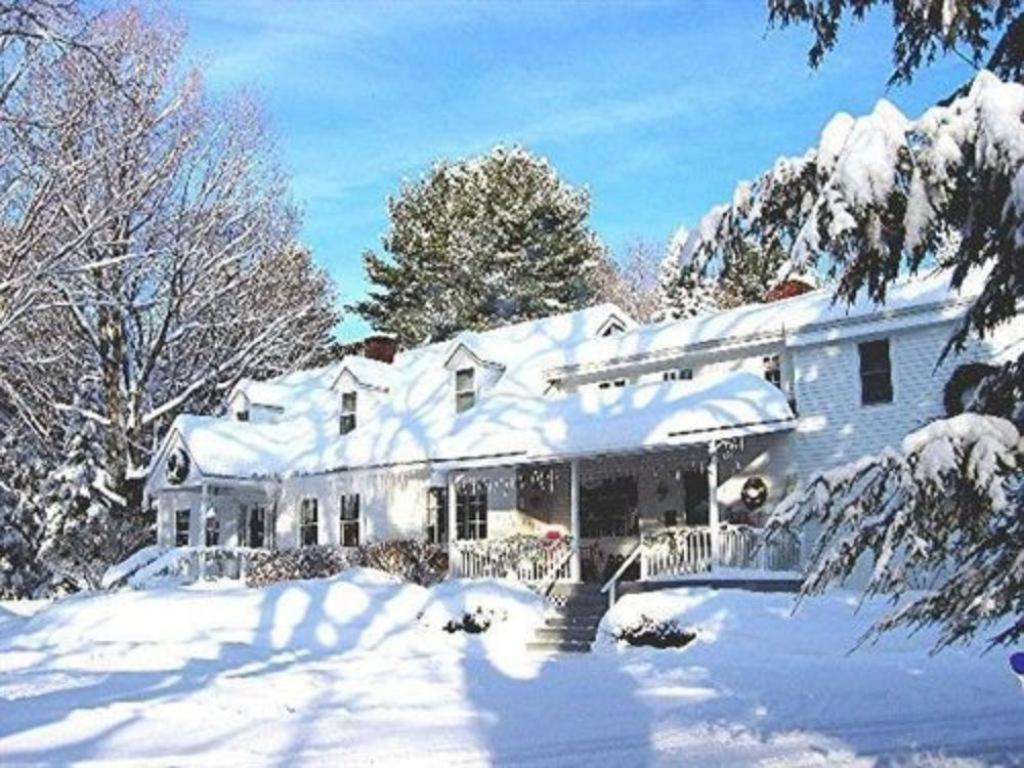 نورث كونويه Buttonwood Inn On Mount Surprise المظهر الخارجي الصورة